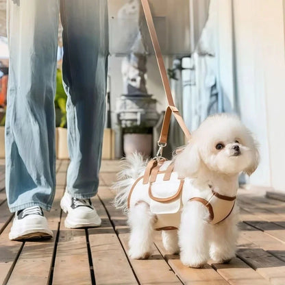 Portable Pet Carrier Shoulder Bag